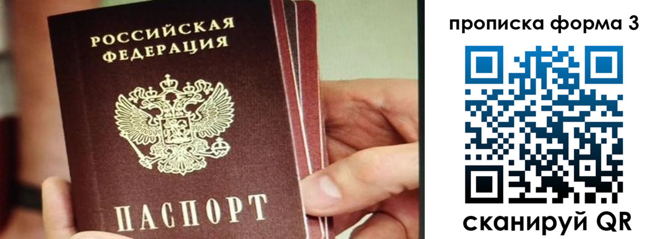прописка законно в Рыбинске